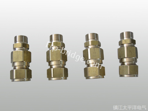 黃銅(tong)铠裝(zhuang)電纜(lan)密封(feng)接頭(tou)