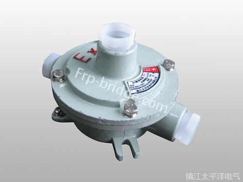 AH型(xing)防爆接(jie)線盒二(er)通吊